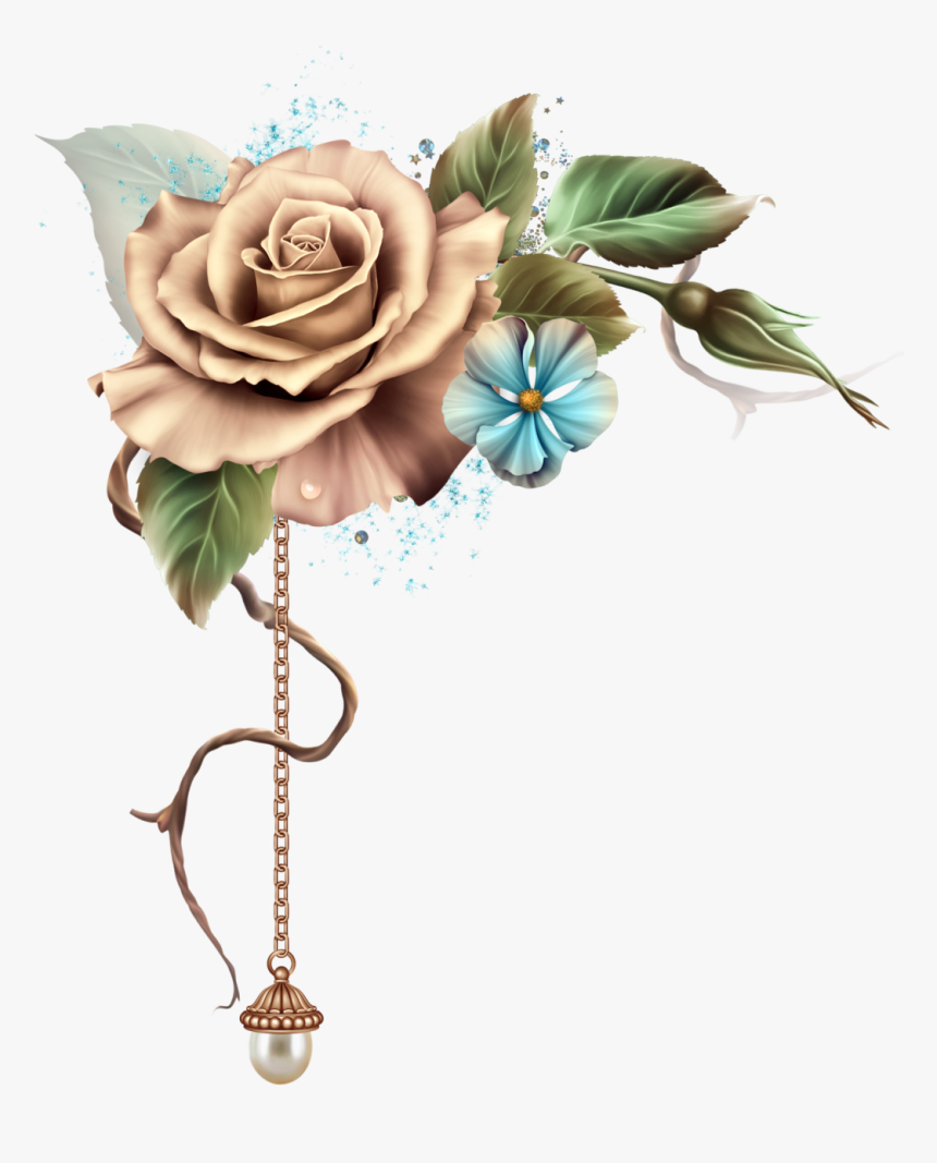 Garden Roses, HD Png Download