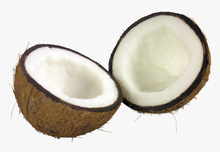 Coconut Png Image, Transparent Png
