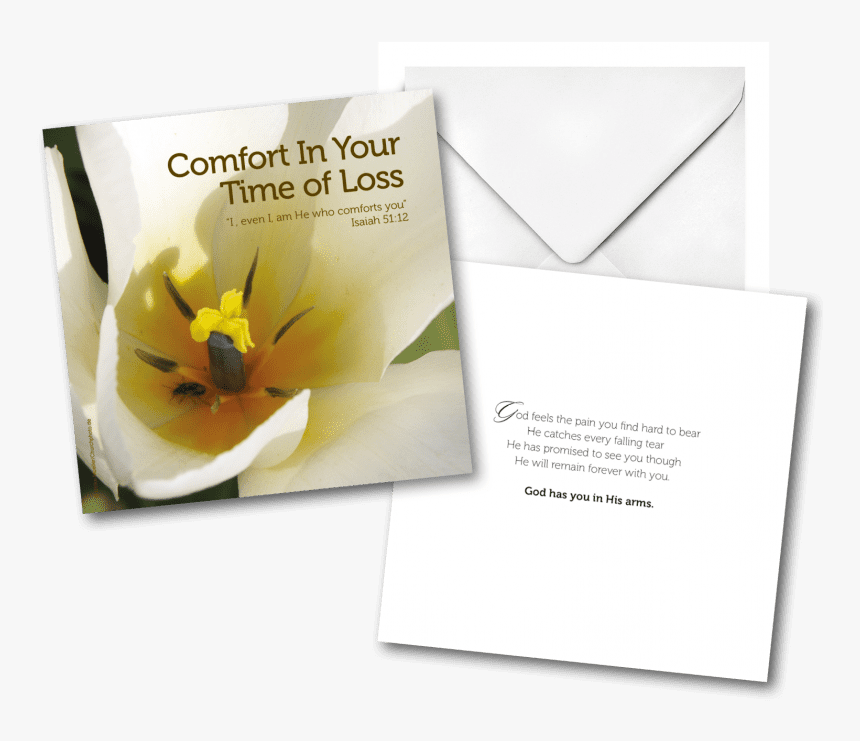Transparent Falling Cards Png - Cattleya, Png Download