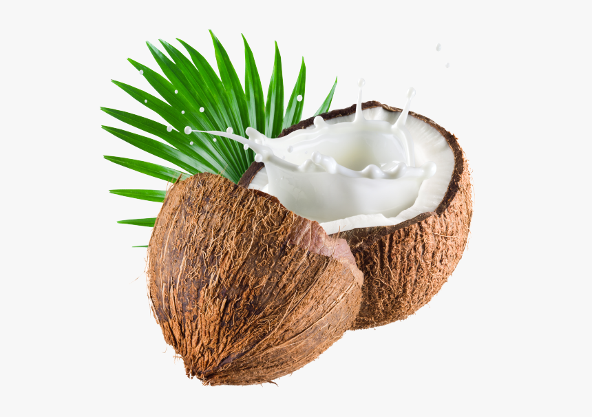 Coconut Png Image Transparent - Coconut Milk Png, Png Download