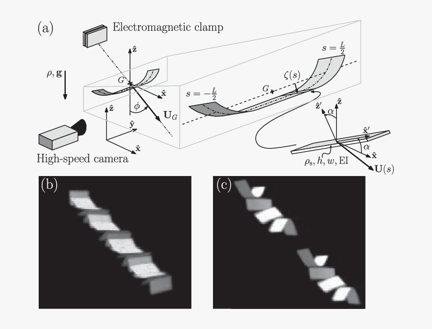 Schematic Of The Geometry Of A Falling, Tumbling, Bent - Stairs, HD Png Download