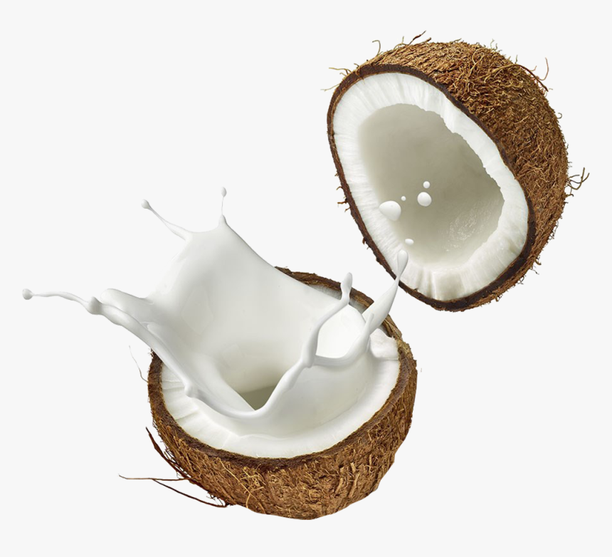 Coconut Png Background Image, Transparent Png