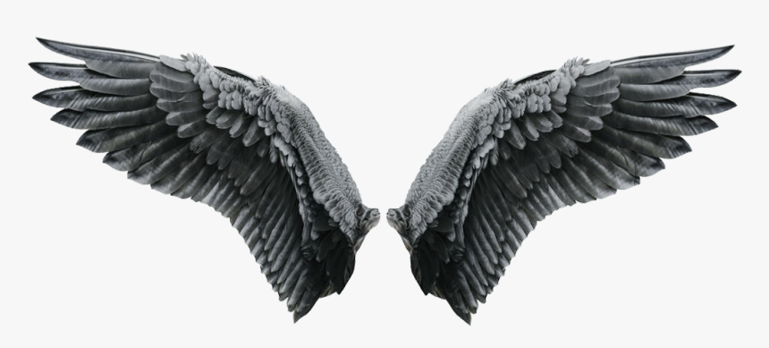 Black Angel Wings, HD Png Download
