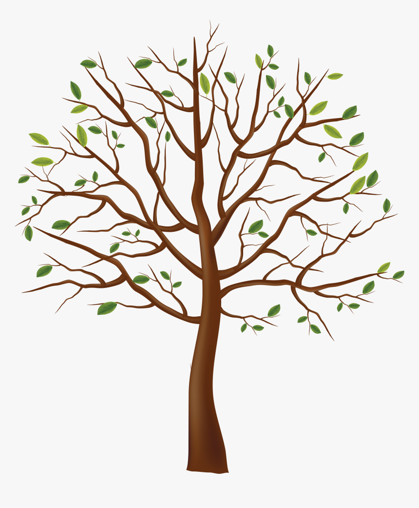 Tree, HD Png Download