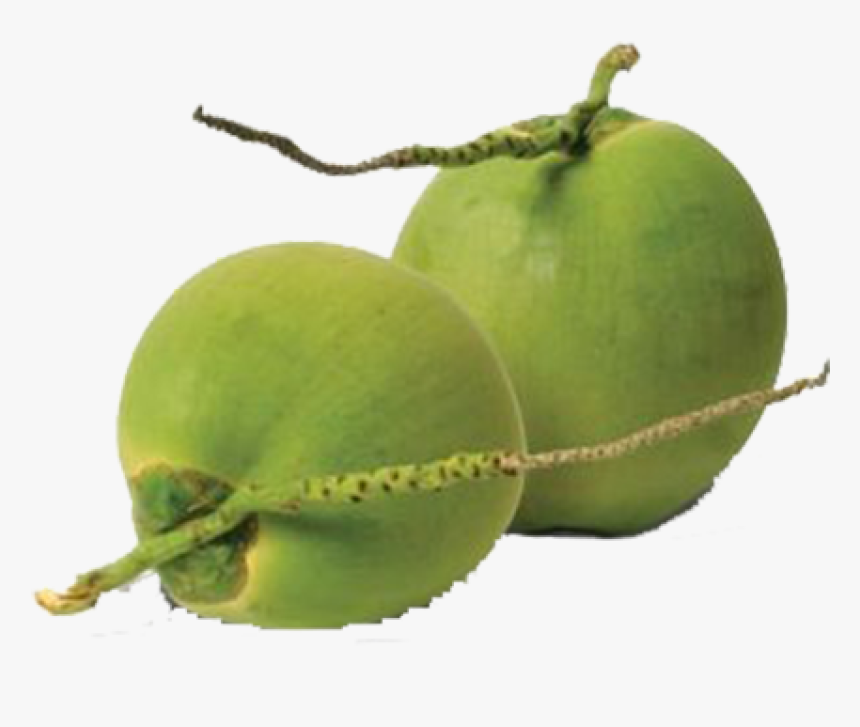Transparent Tender Coconut Png - Tender Coconut Png, Png Download