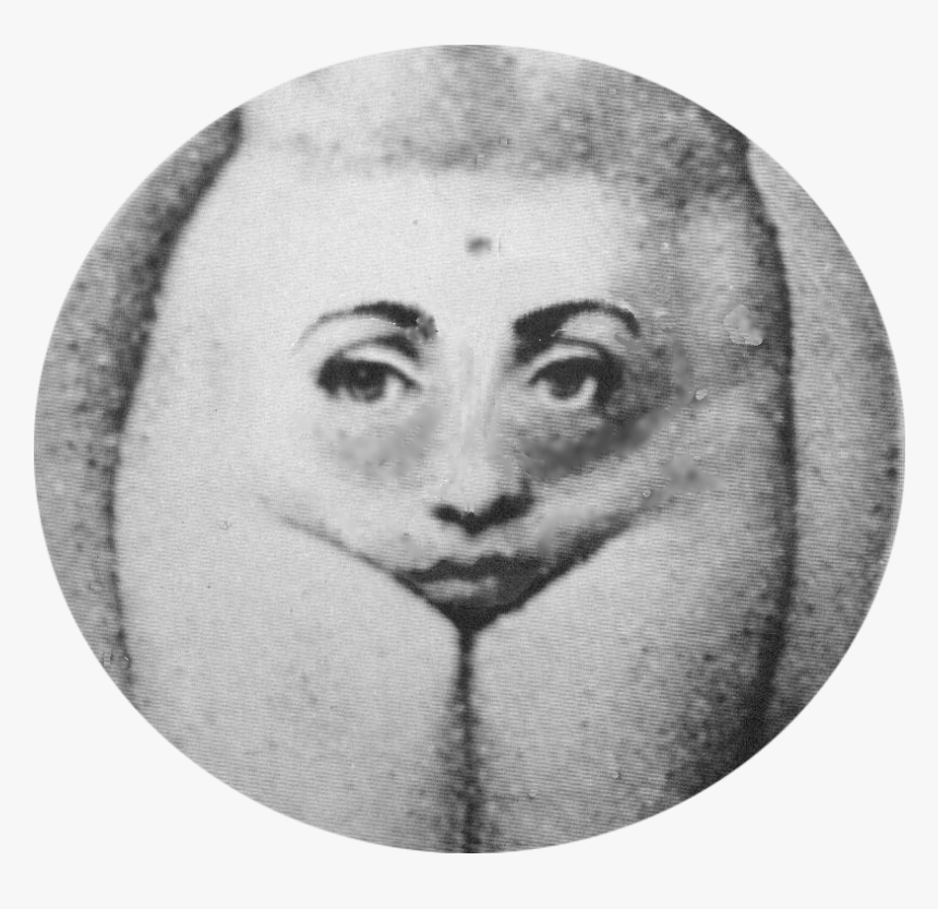 Modern Art Of Goddess Baubo - Fornasetti Prints, HD Png Download