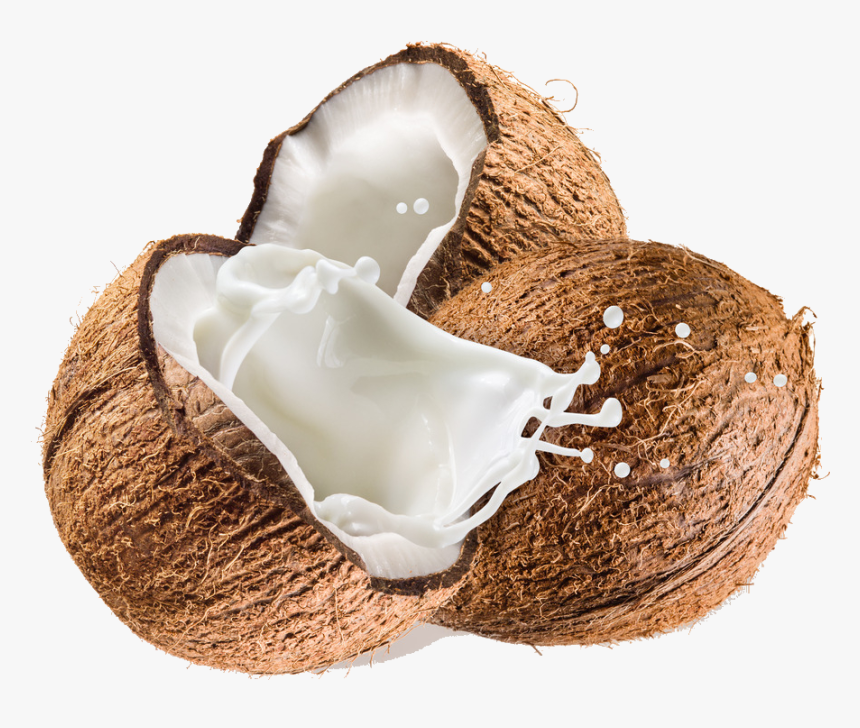 Coconut Transparent Background Png - Transparent Background Coconut Png, Png Download