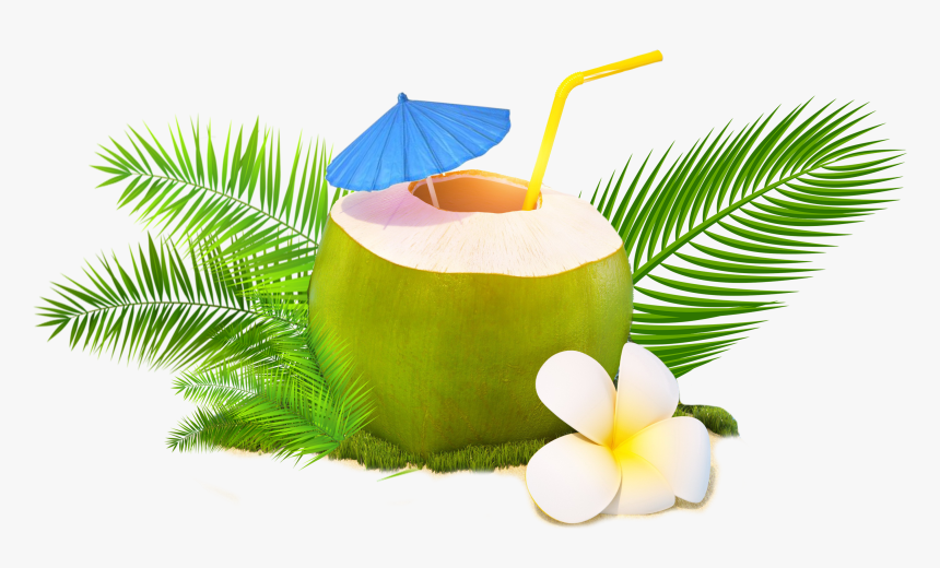 Trendy Coconut, HD Png Download