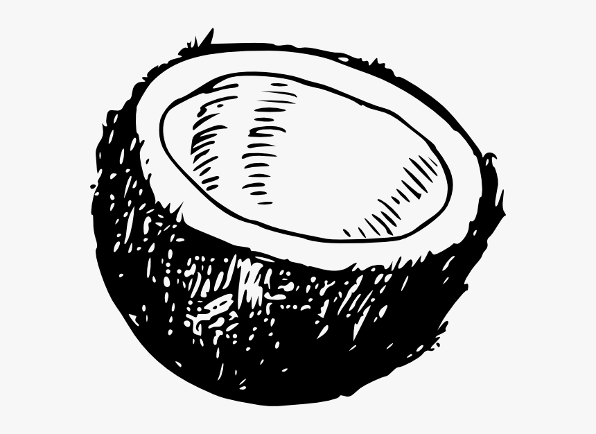 Coconut Svg Clip Arts - Coconut Black And White Png, Transparent Png