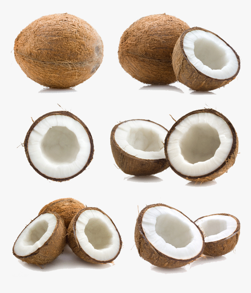 Coconut Png Free Download - Coconut Peel, Transparent Png
