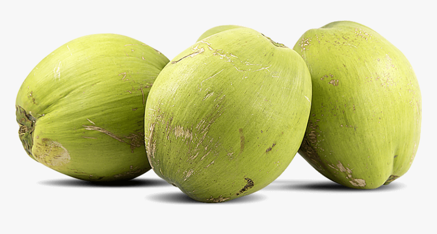 transparent tender coconut png fresh coconut water png png download transparent png image pngitem transparent tender coconut png fresh