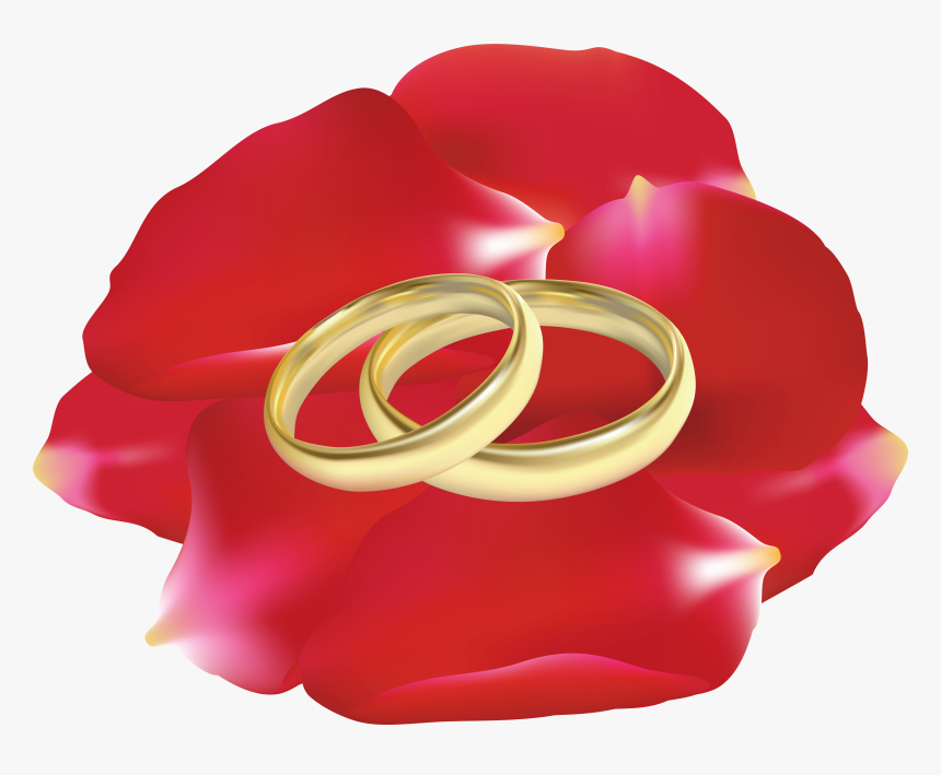 Wedding Rings In Rose Petals Png Clip Art, Transparent Png