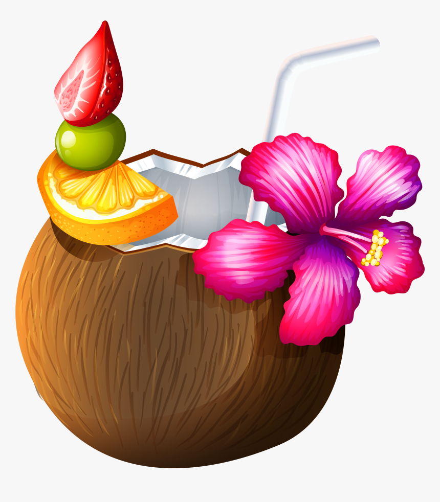 Coconut Png Images, Transparent Png