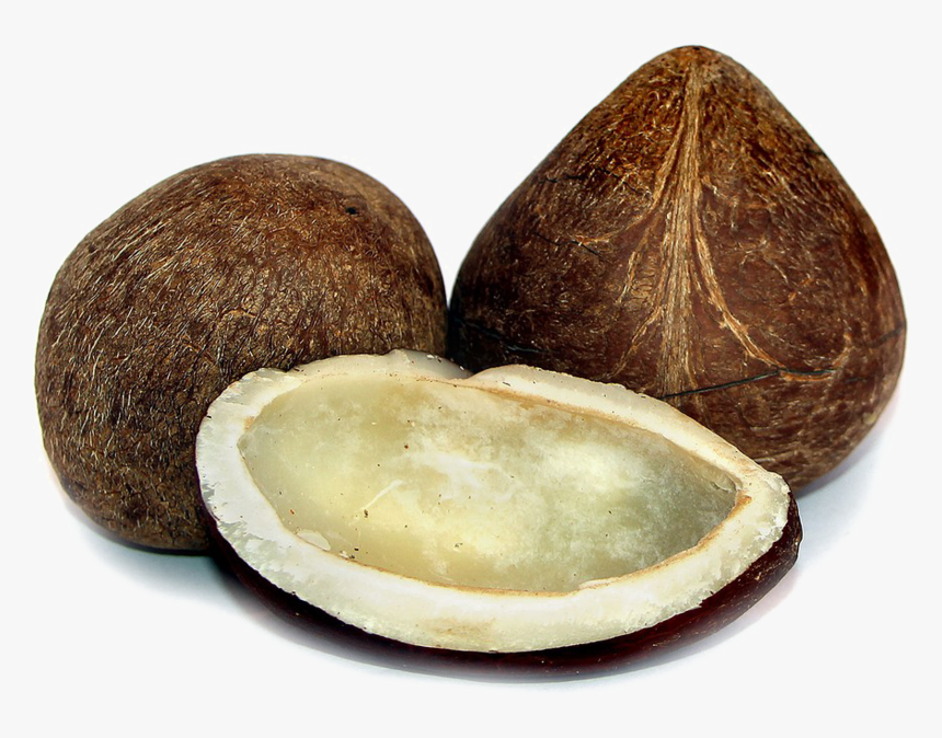 Dry Coconut Png, Transparent Png