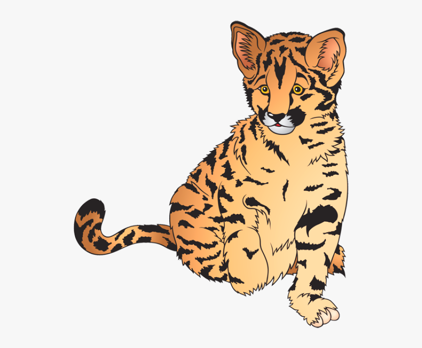 Cub Clipart Zoo Animal - Leopard Cartoon, HD Png Download