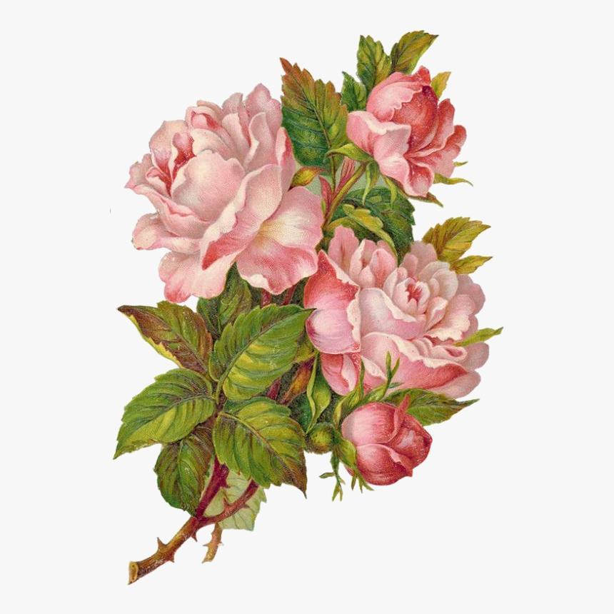 Scraps Flower, HD Png Download