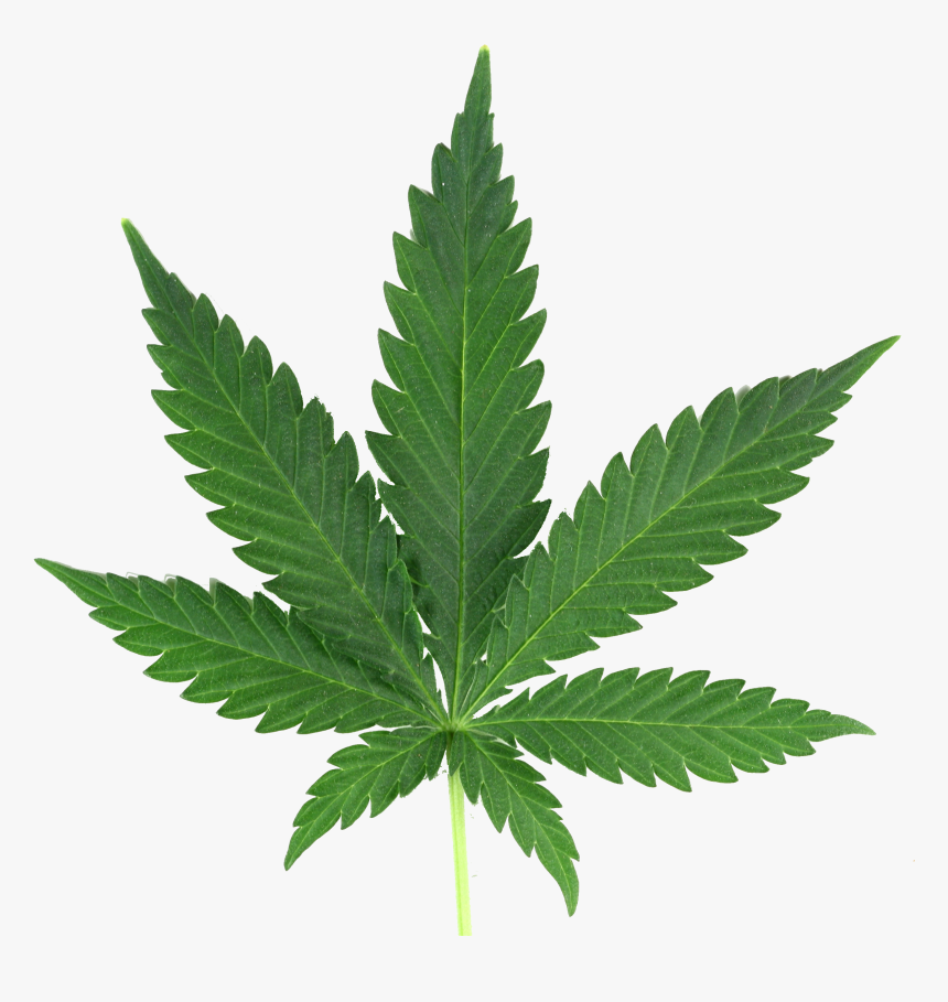 Weed Transparent Png, Png Download