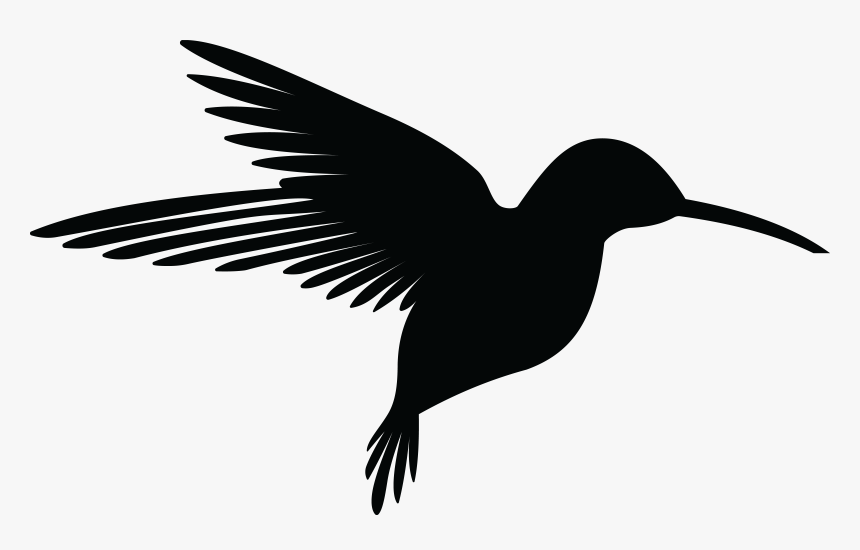 Hummingbird Silhouette Clip Art - Hummingbird Silhouette, HD Png Download