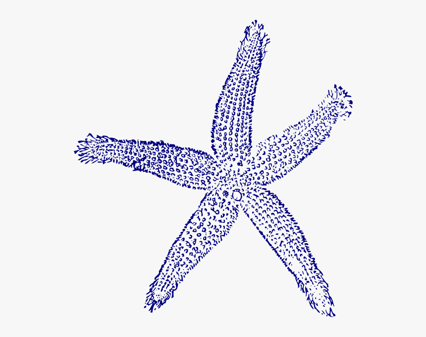 Navy Blue Starfish Clipart, HD Png Download