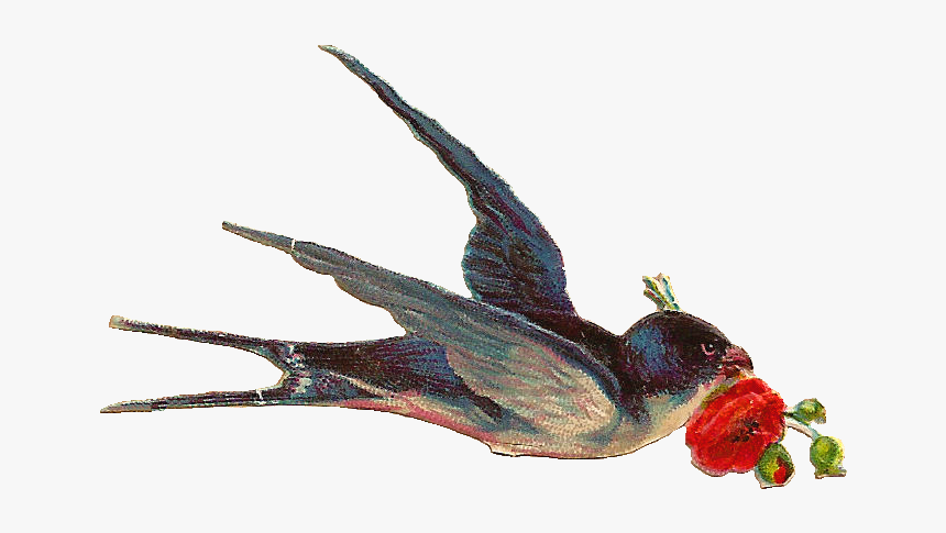 Clipart Vintage Bird Transparent, HD Png Download