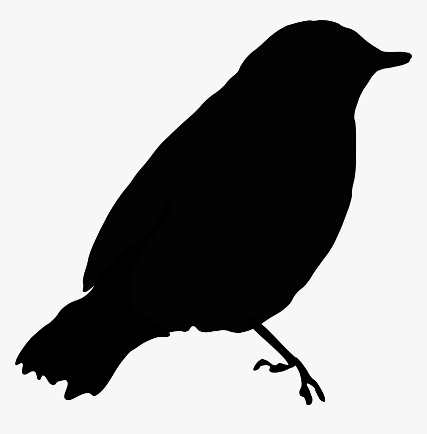 Black Bird Png - Black Bird Clipart, Transparent Png