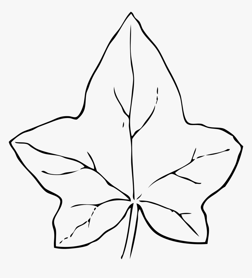 Pumpkin Leaves Clipart - Leaf Clipart Black And White, HD Png Download