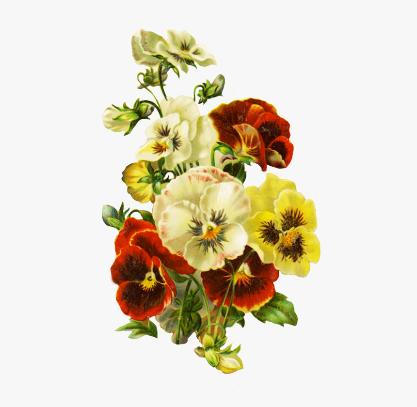 Bouquet Of Pansies - Flower, HD Png Download