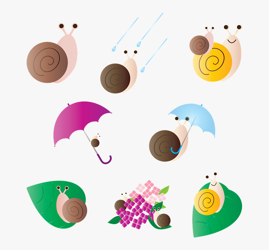Snails, Rainy Season, Kawaii, Asian, Rainbow, Oriental, HD Png Download