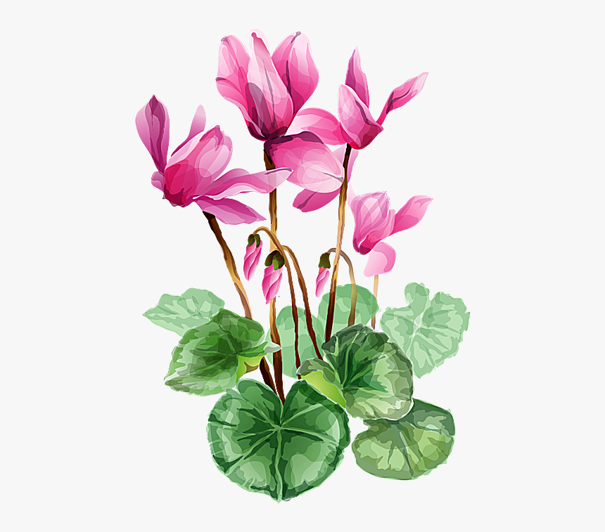 Flower Bouquet A Bouquet Of Summer Flowers Clip Art - Cyclamen Clip Art, HD Png Download