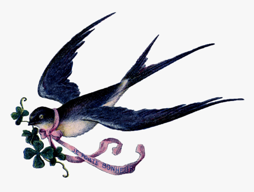 Fairy Bird Png Free Download - Bird With Ribbon In Mouth, Transparent Png