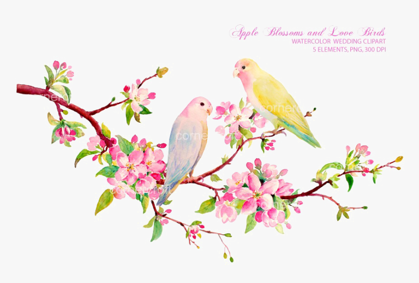 Love Bird Water Color, HD Png Download