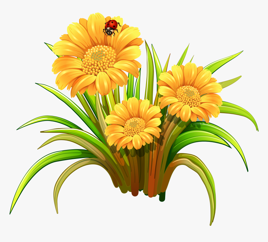 Coloring Book Art, Flower Art, Flower Clips, Daisy, - 3d Flower Clipart, HD Png Download