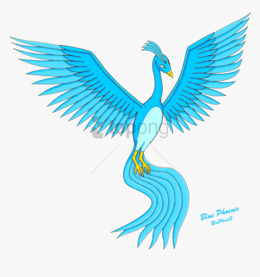 Phoenix Bird Png, Transparent Png