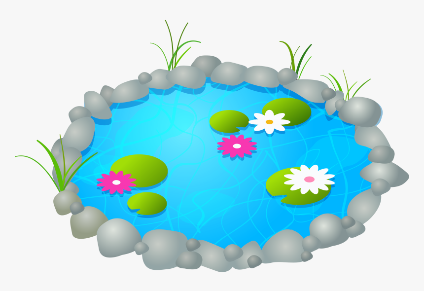 Garden Pond Png Best - Pond Clipart, Transparent Png