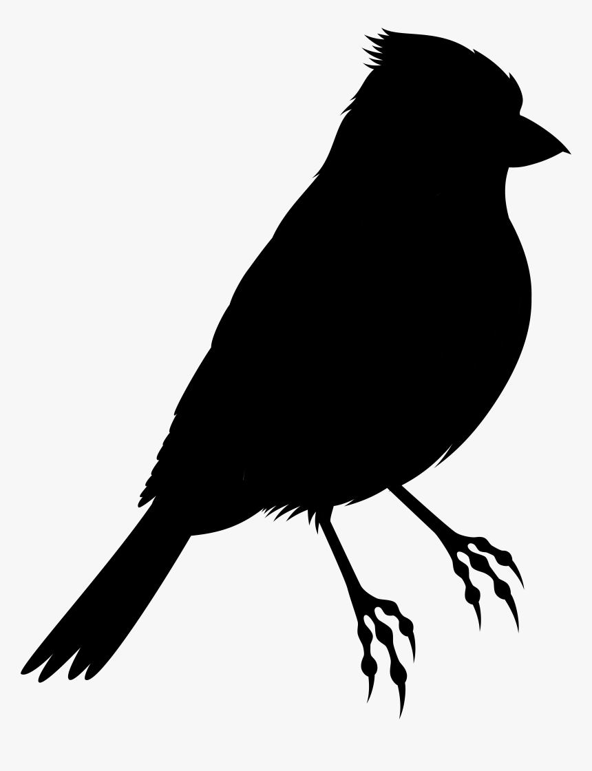 Bird Silhouette Clip Art Illustration Drawing, HD Png Download