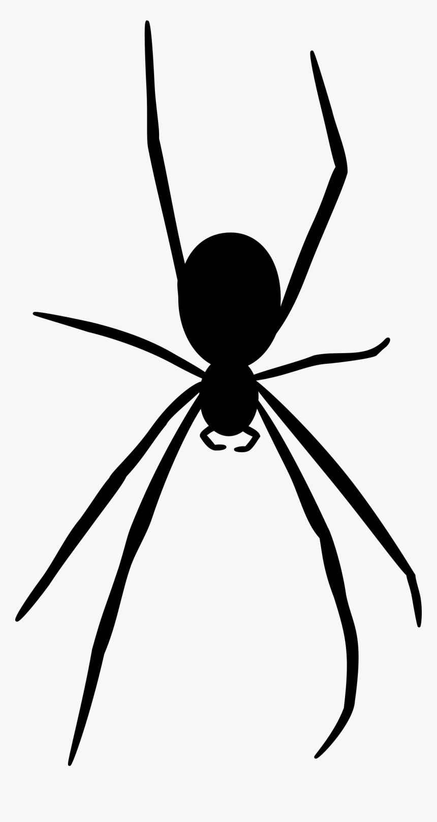 Spider Png Black And White - Spider Silhouette Clipart, Transparent Png