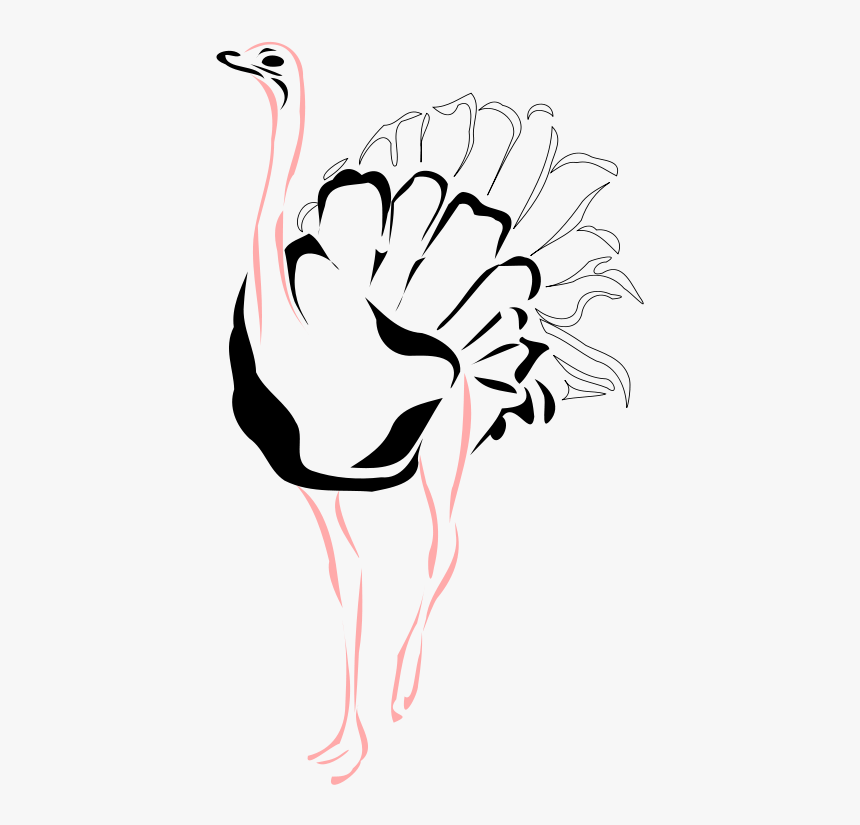 Ostrich - Ostrich Draqing, HD Png Download