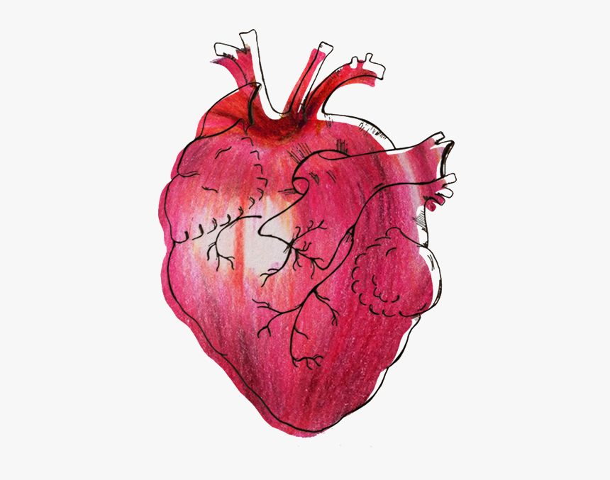 Myheart - Illustration, HD Png Download