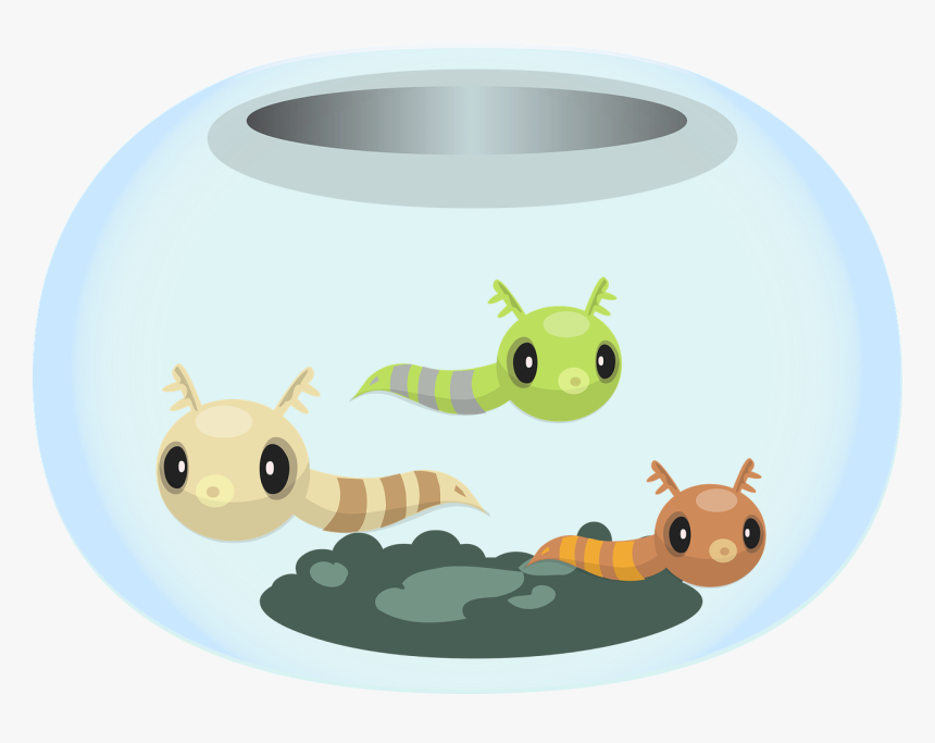 Goldfish, HD Png Download