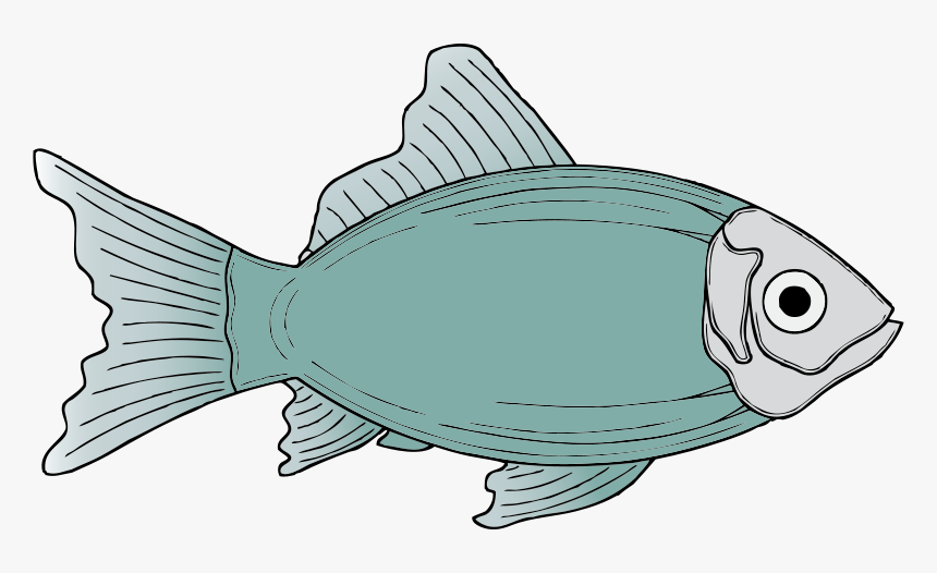 Generic Fish - Fish Clip Art, HD Png Download