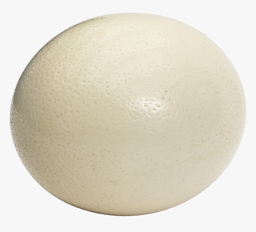Ostrich Egg Egg Large Egg Free Photo - Ostrich Egg Png, Transparent Png