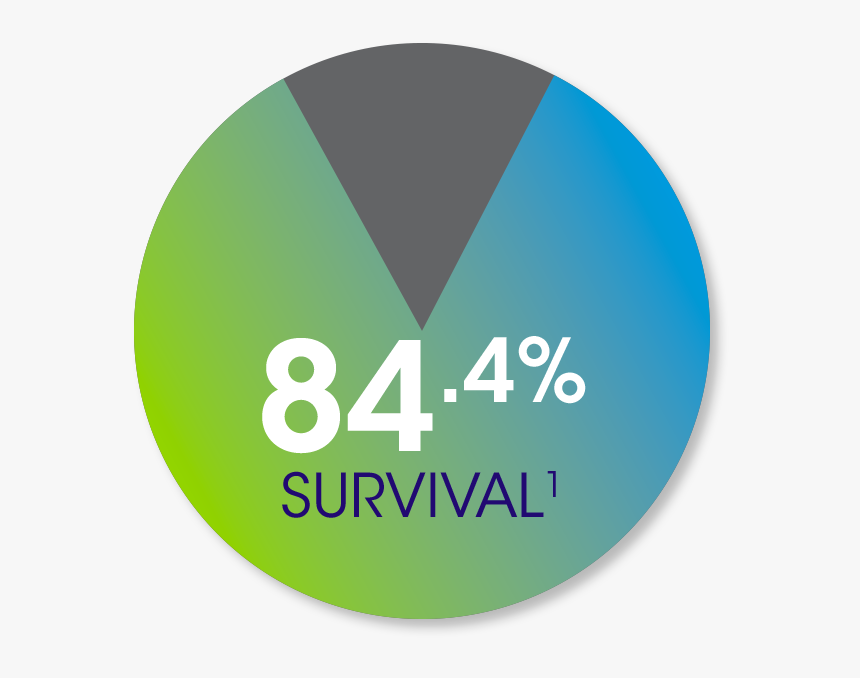 84 - 4% Survival¹ - Circle, HD Png Download
