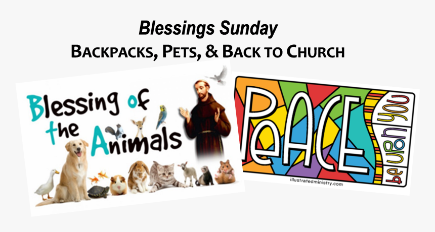 Https - //s3 - Amazonaws - Com/dfc Sunday For Facebook - Animal, HD Png Download