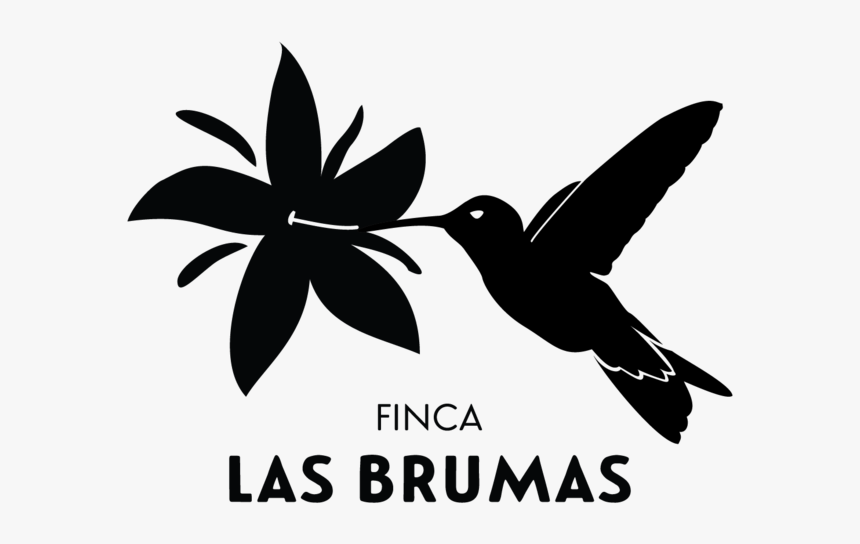 Las Brumas Black Only Logo Final, HD Png Download