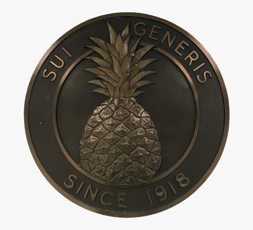 Fc Seal - Pineapple, HD Png Download