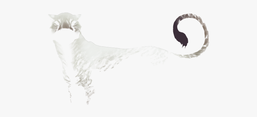 Sketch, HD Png Download