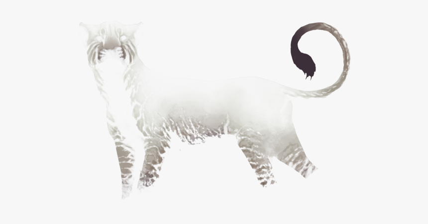 Dall's Sheep, HD Png Download