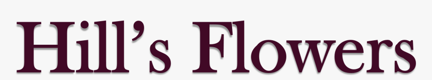 Graphics, HD Png Download