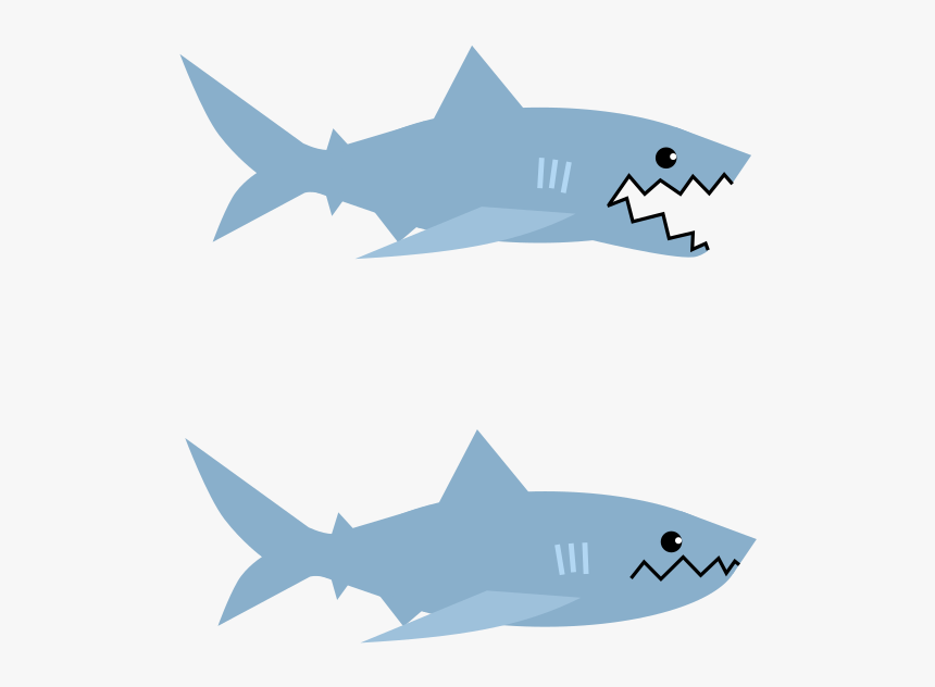 Great White Shark, HD Png Download