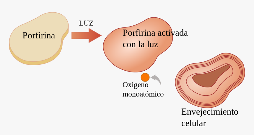 Diagram, HD Png Download